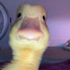 Meet your Posher, Raegan